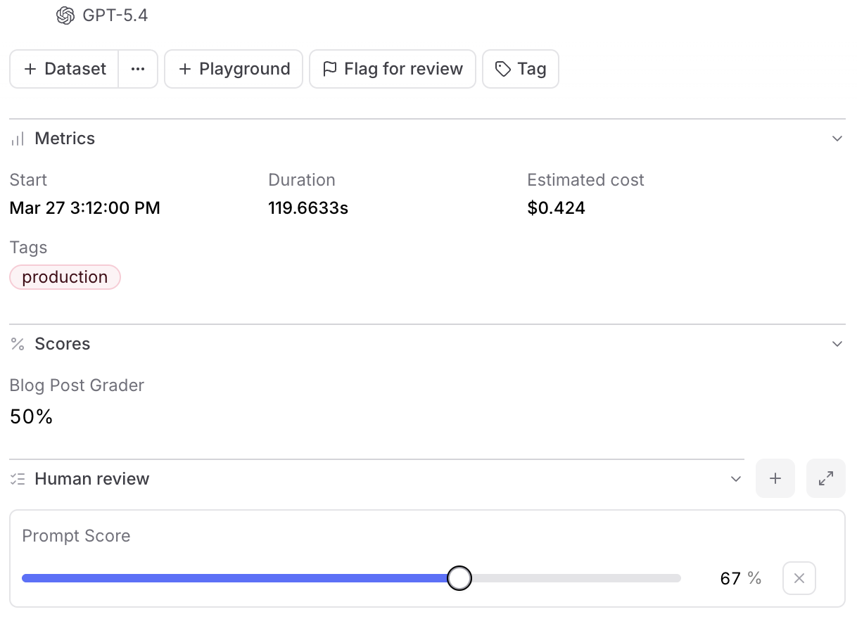 Braintrust human review scoring interface