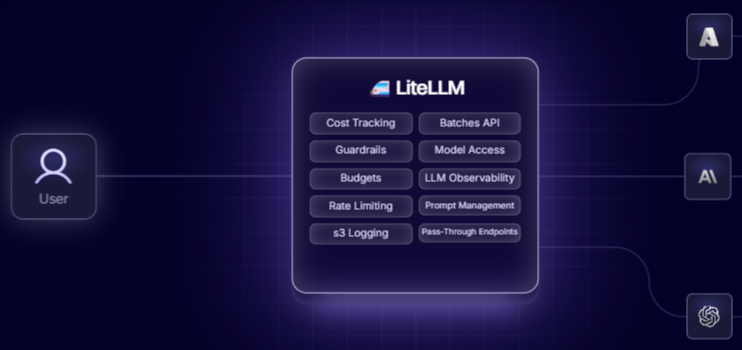 LiteLLM proxy routing requests to multiple providers
